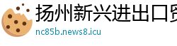 扬州新兴进出口贸易公司